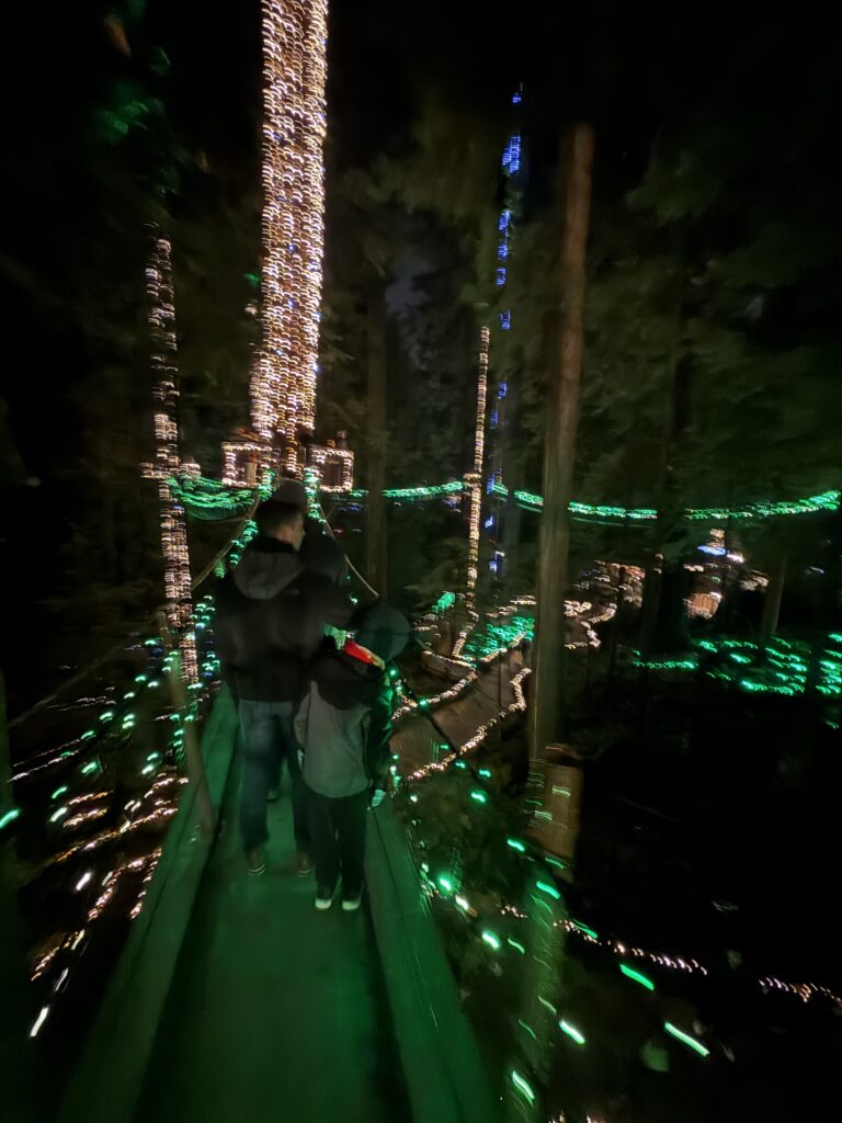 Vancouver Holiday Splendor